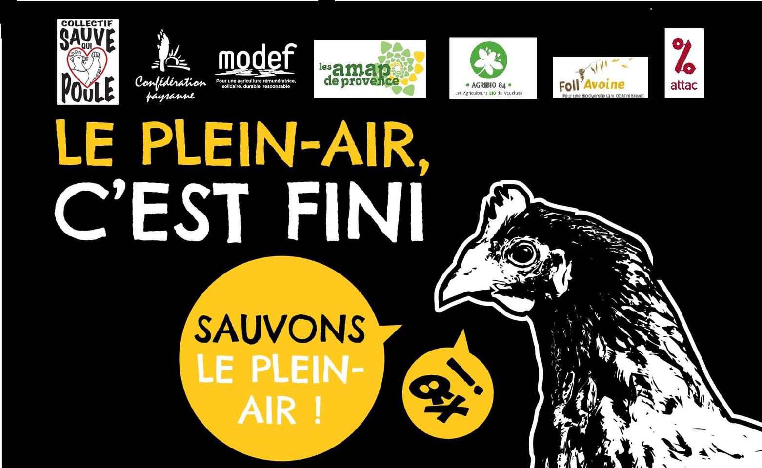 SAUVE QUI POULE SAUVE QUI POULE