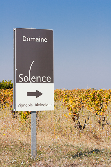 DOMAINE SOLENCE DOMAINE SOLENCE
